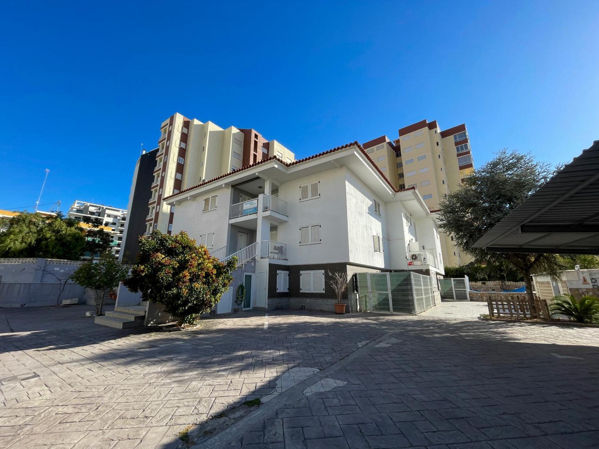 Apartamentos Gandia Centro 3000 Dış mekan fotoğraf